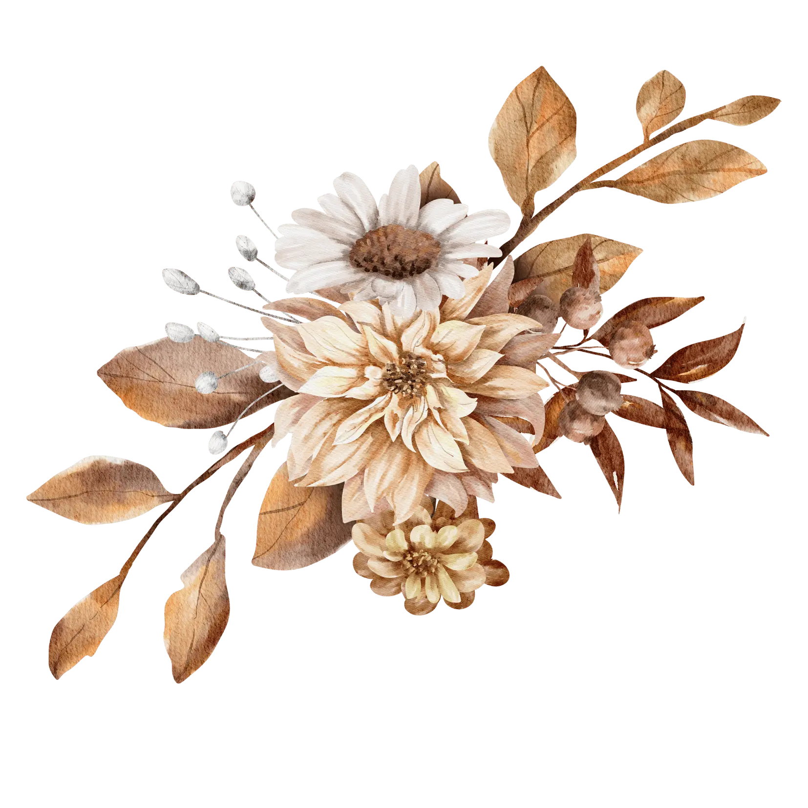 Flores